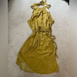 Loft plus dress, 18W